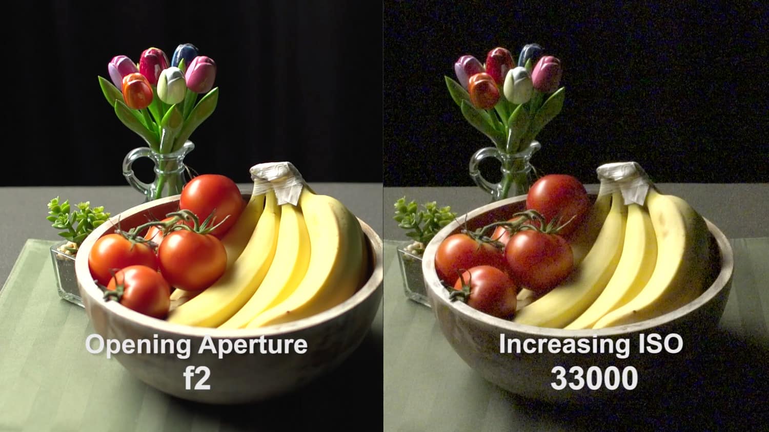 Imaging-Sensor-and-ISO